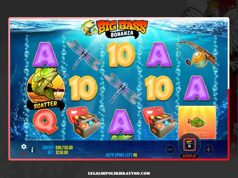 Features of the Big Bass Bonanza game