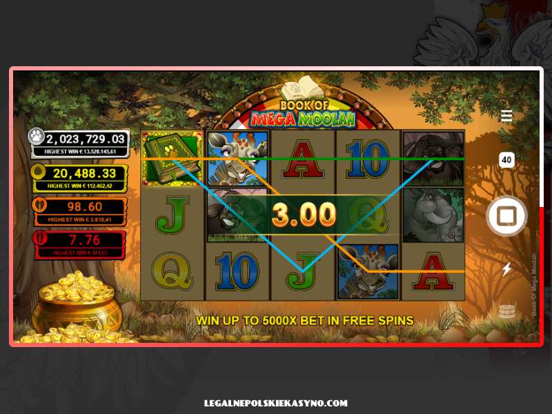 Features of the Mega Moolah game